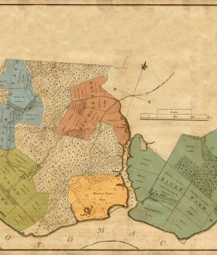 Inside the Archive: Database of Mount Vernon's Enslaved Community and Constructing Individual Biographies