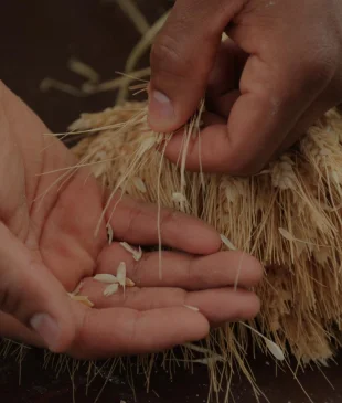 Resolving the Duality of George Washington