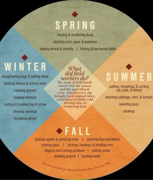 Seasons