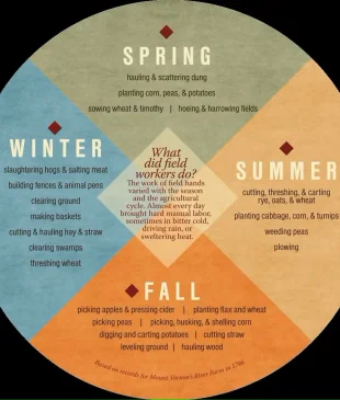 Seasons