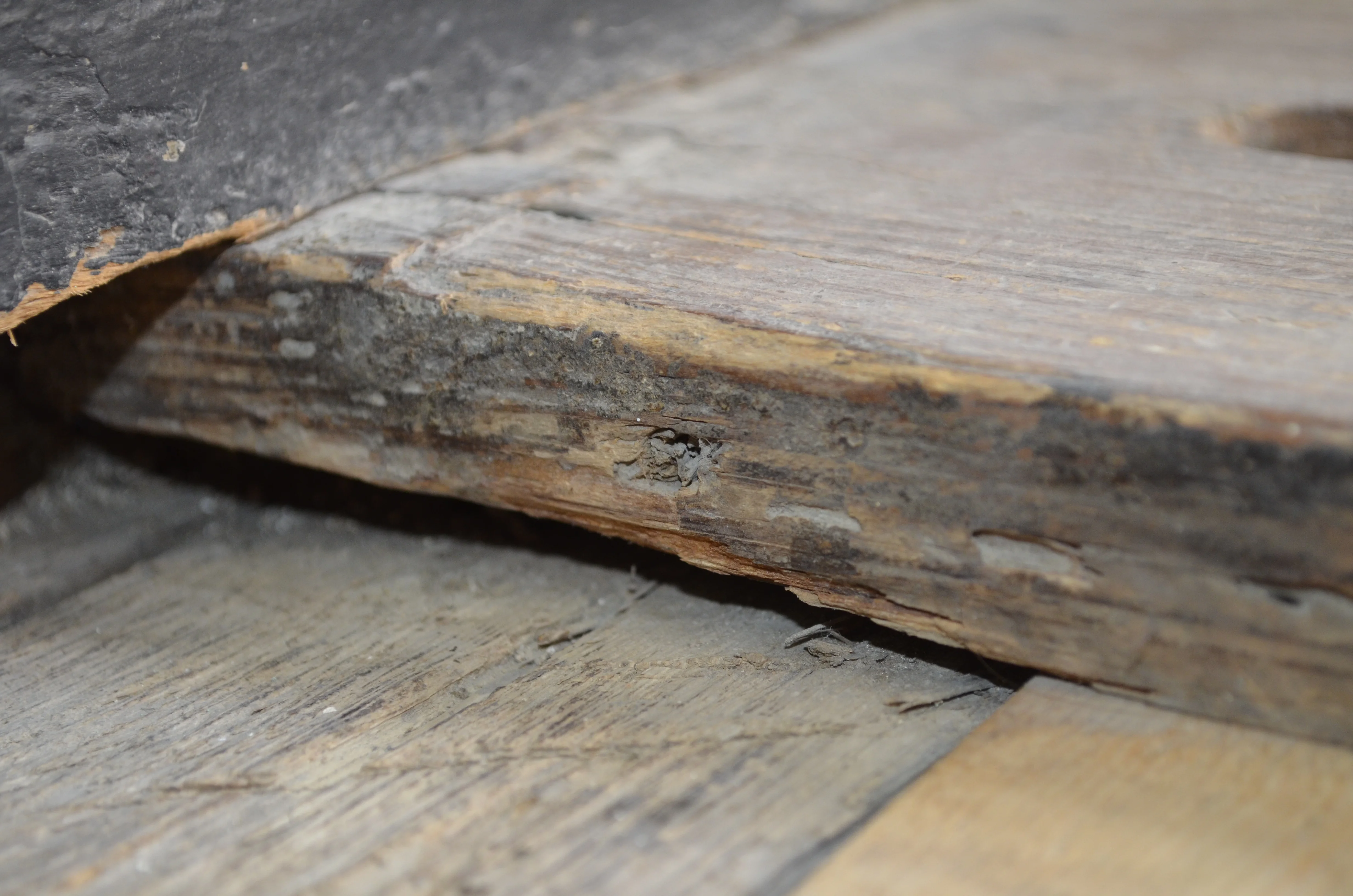 New Room cut dowel