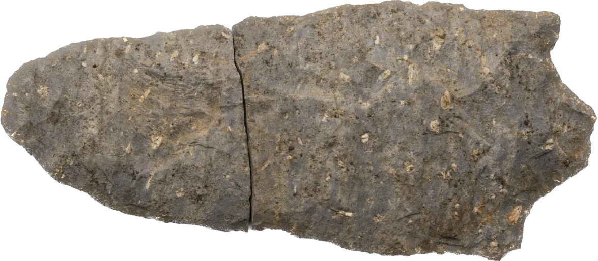 Projectile Point