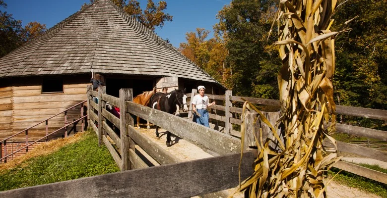 16-Sided Barn