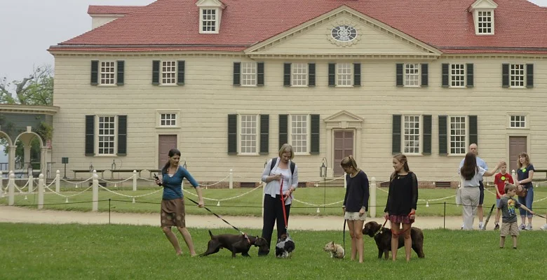 All the President's Pups