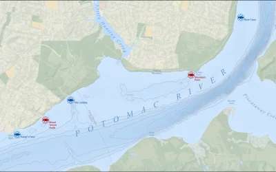 Washington's Five Fisheries