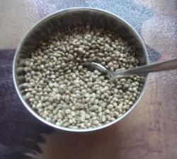 1024px-hempseeds.jpg