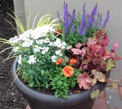 Mixed Container Workshop