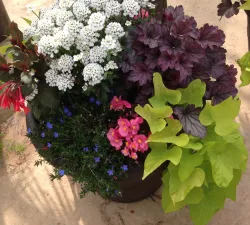 Mixed Container Workshop