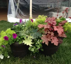 Mixed Container Workshop