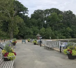 Mixed Container Workshop