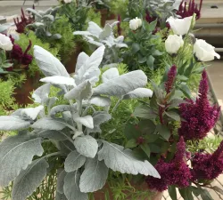 Mixed Container Workshop