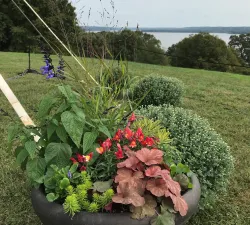 Mixed Container Workshop