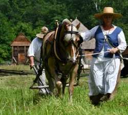Horses at Mount Vernon