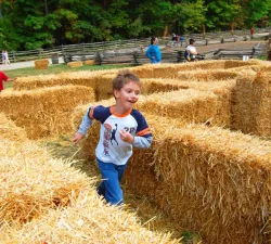 boy-in-maze-2.jpg