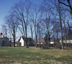 cs-951-1-1975.jpg