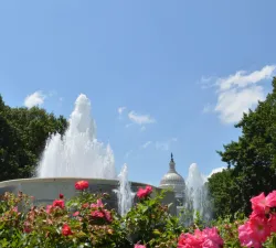 dsc_3434.jpg