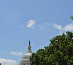 dsc_3456.jpg