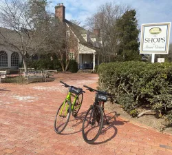 mount-vernon-6.jpeg