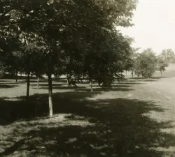 north-grove-1939.jpg
