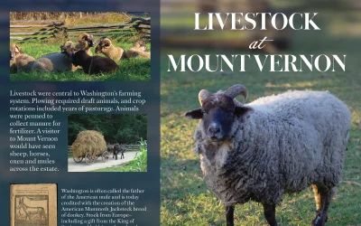 Livestock at Mount Vernon