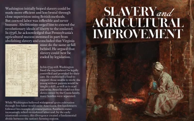 Slavery and Agricultural Improvement