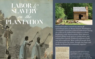 Labor and Slavery on the Plantation