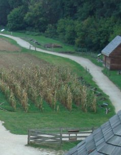 Farm