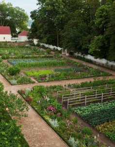 MV Gardens