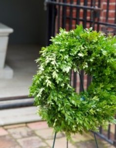 Adult Walking Tour