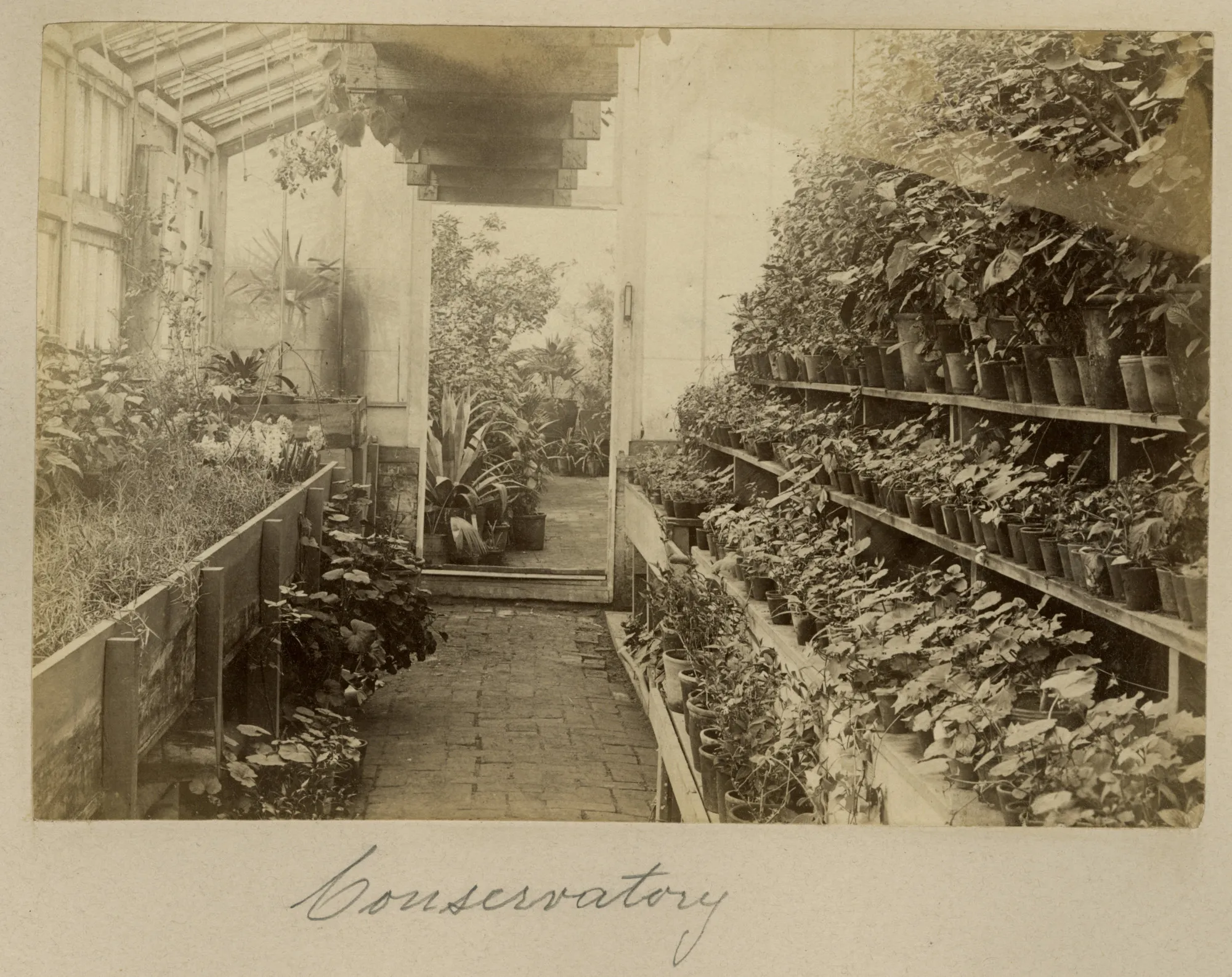 Historic Images from Mount Vernon's Upper Garden | George