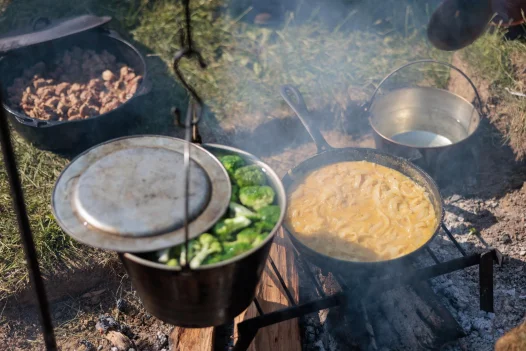 Gardens and Landscape Tour