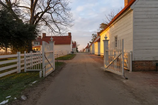 The North Lane at Sunrise 
