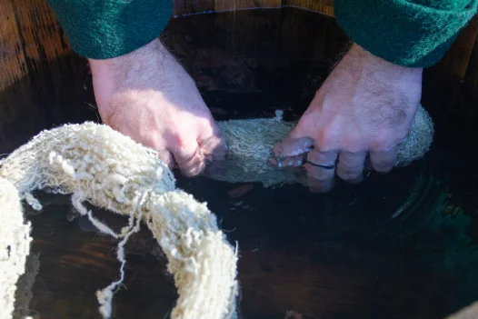 Dyeing Demonstration