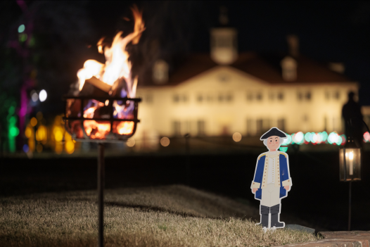 I Spy General George Washington