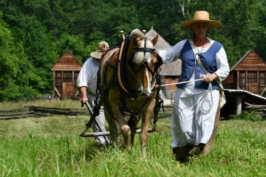 Horses at Mount Vernon