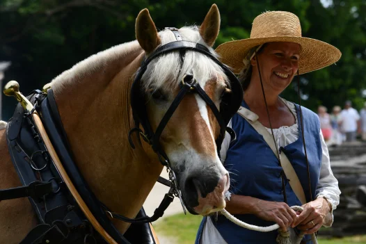 Horses at Mount Vernon
