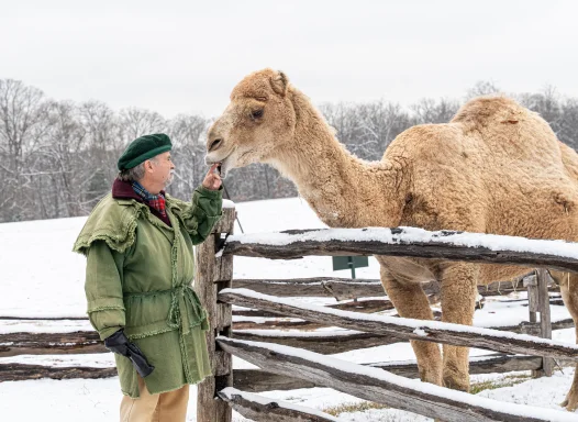 Character Interpreter with Aladdin the Camel