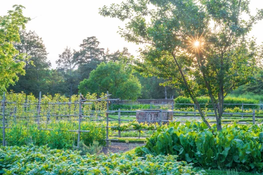 lower garden cystern