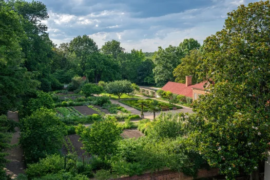 upper garden overview shot