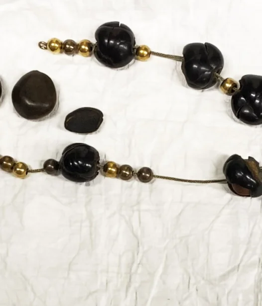 Mount Vernon coffee bean bracelet, 1861. Purchased by the William and Lisa Moore Acquisition Endowment Fund, 2024, [H-6144], MVLA
