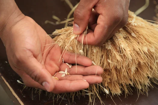 Enslaved Foodways at Mount Vernon