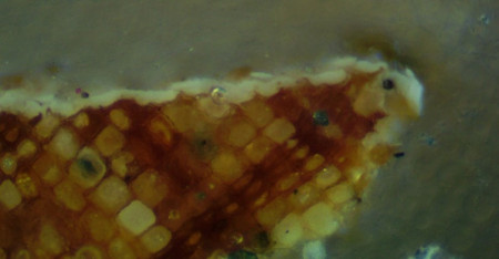 A microscopic view of 1785-1787 paint found on the exterior of the Mansion. (MVLA)