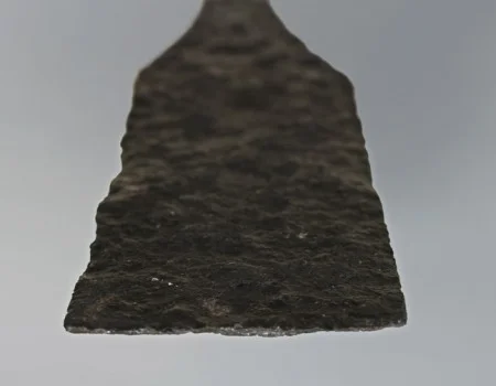 (MVLA)