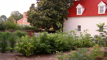 Washington's Botanical Garden.