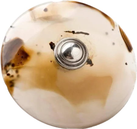 Mount Vernon's collections include several moss agate buttons that once adorned one of George Washington’s black velvet suits worn during the presidency. (MVLA)