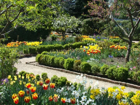 Mount Vernon's Upper Garden.