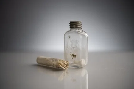 The unrolling of Dodge's letter was a monthslong process. (MVLA)