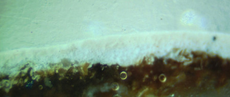 A microscopic view of Fine Paints of Europe Ashlar White, used on the Mansion today. (MVLA)