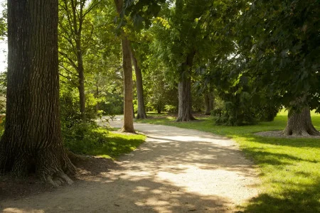 George Washington laid out “serpentine paths” hugging the contours of the Bowling Green (Henley)