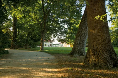 View of the Mansion along one of the serpentine paths (MVLA)